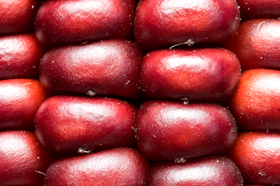 macro