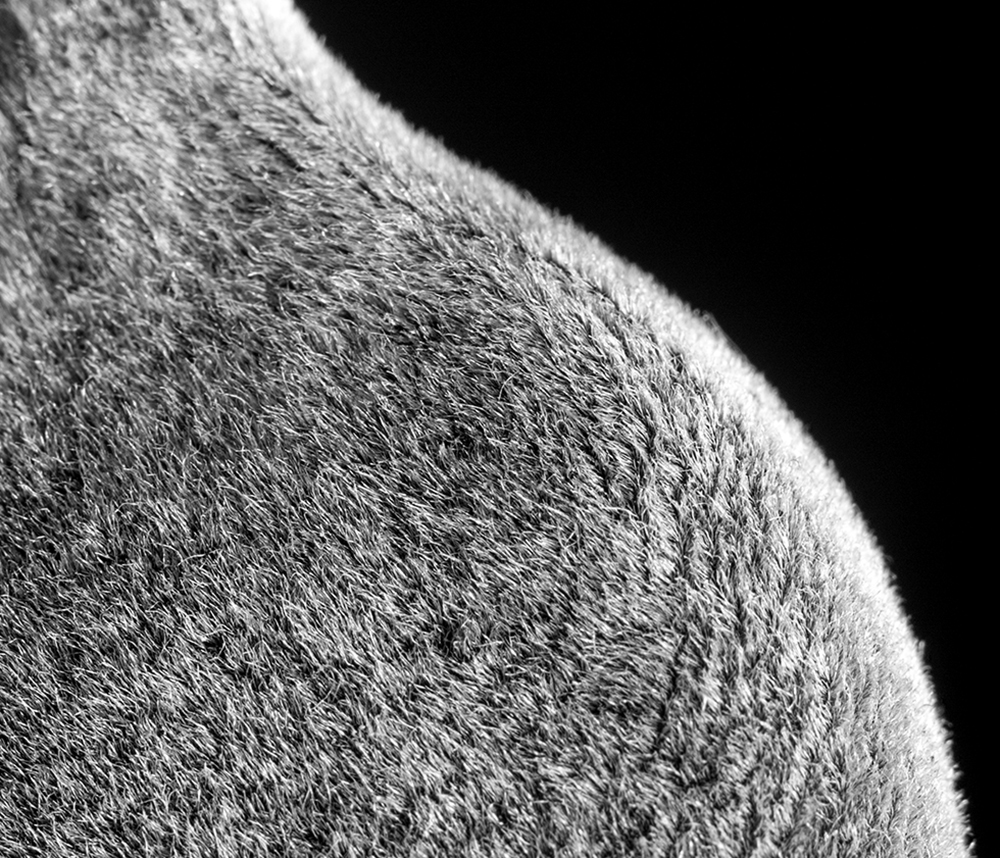 macro